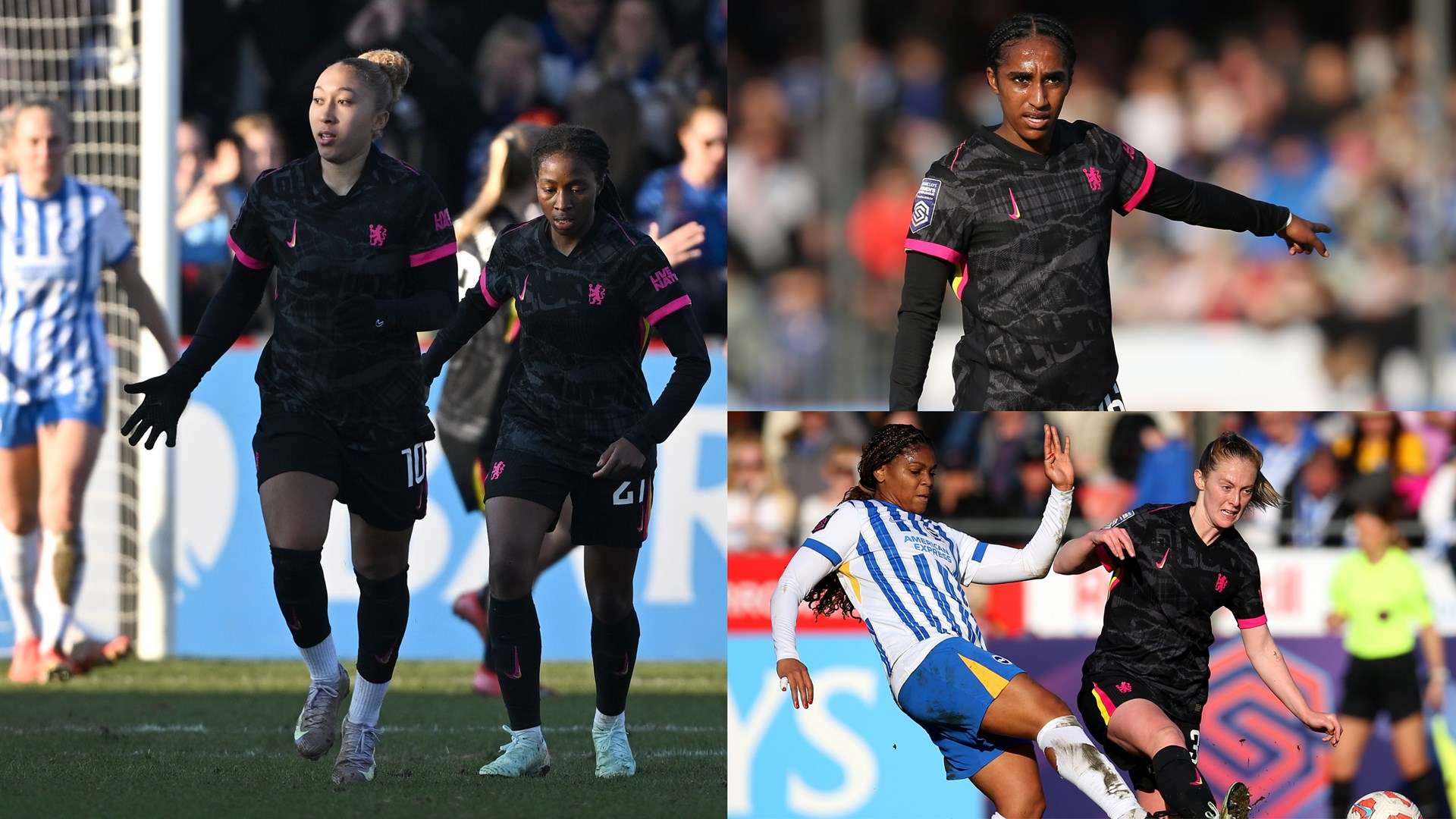 的再次相遇 的再次相遇