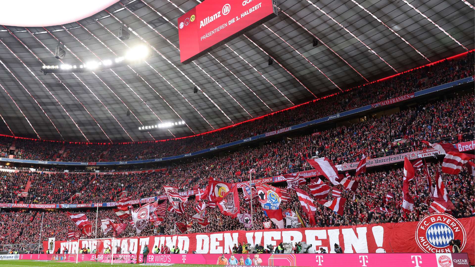 网络的用户 网络的用户